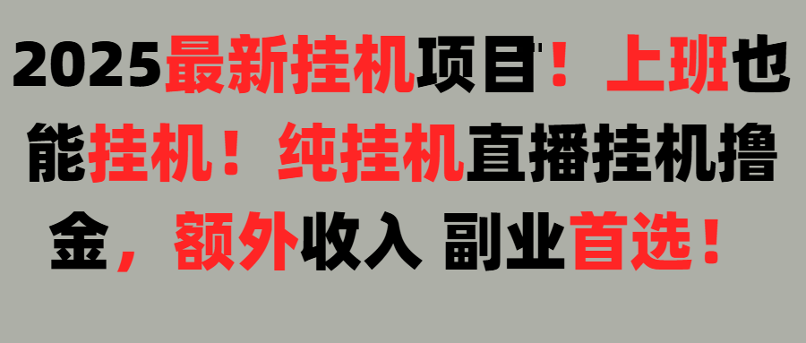 2025上班也能挂机！24小时！纯挂机直播挂机撸金！
