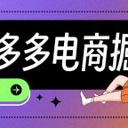 拼多多 电商掘金 3.0
