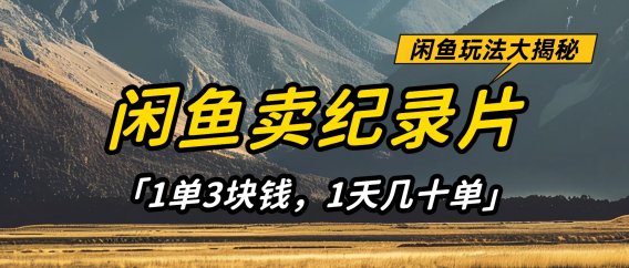 闲鱼卖纪录片1单3块钱，1天几十单，项目稳定有潜力