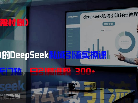 全网首发（限时删）精准打击：价值3980的DeepSeek私域引流实操课，小白实操无门槛，日引精准粉300+